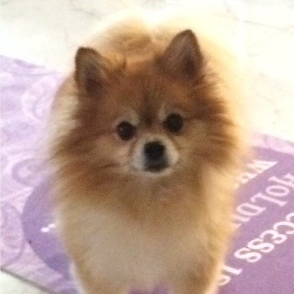 Meet your Posher, Eh - Picture 6 of 9